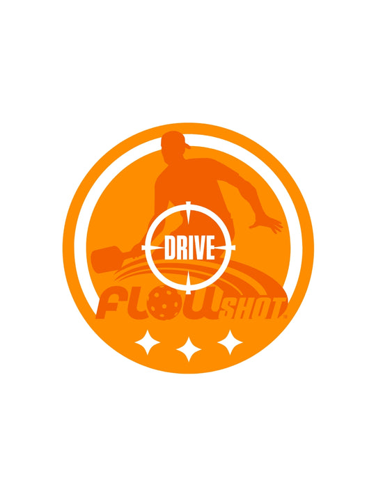 FlowShot Quick-Stick Wall Targets for pickleball.